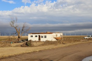 storm damage one