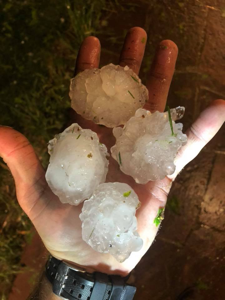 scott co hail