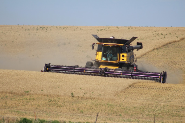 wheat harvest nh av