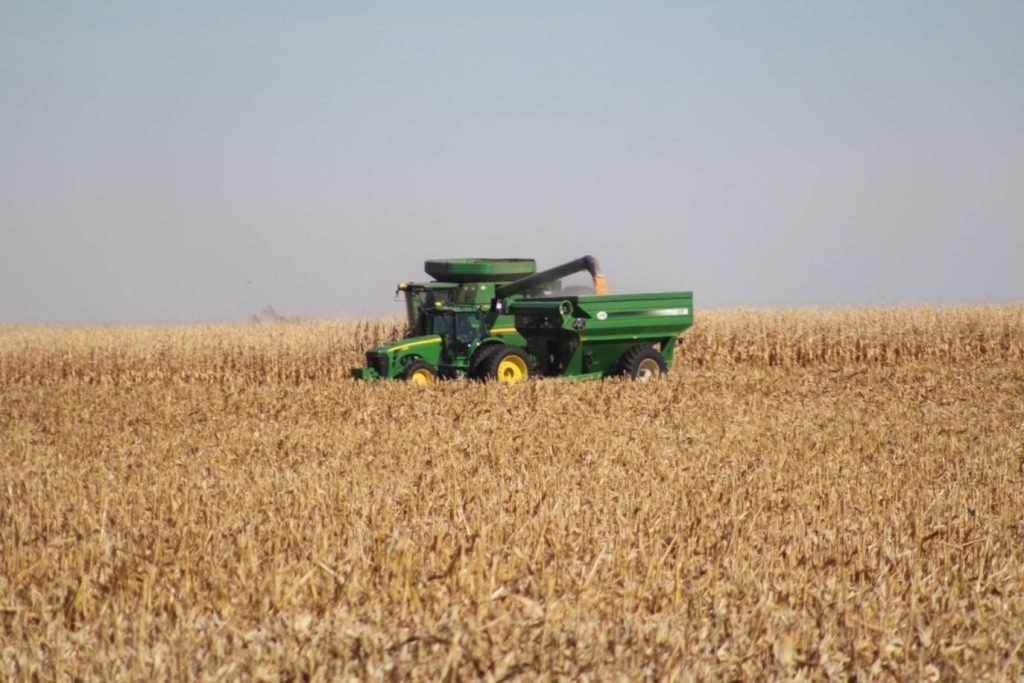 corn harvest 19 a av