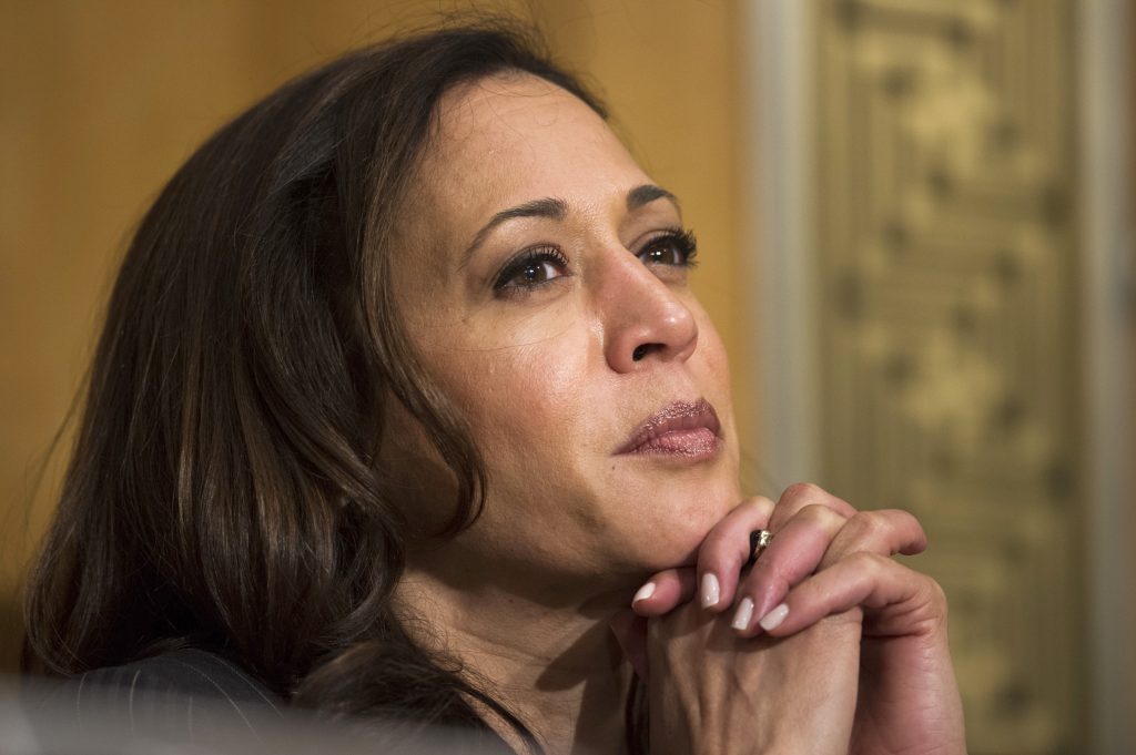 Election 2024 Harris