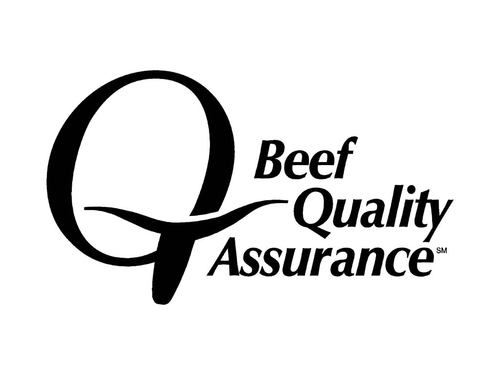 BQA logo 4