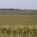 FAPRI Updates Baseline for U.S. Ag Markets