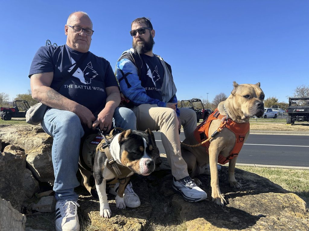 Veterans Day Service Dogs