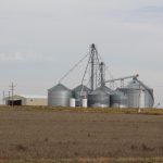 Kansas farm income projected to decrease in 2024